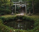 リピーター様専用｜“本質”に寄り添う霊視鑑定します 継続して魂の声に触れたいあなたへ、さらに深い導きをお届け イメージ4