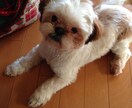 ちょうどいいブスが1週間♡がっつりお話聞きます ◎ステイホームで誰とも話してない！そんなあなたに♩ イメージ6