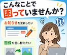 WordPressの更新方法をサポートします 更新担当になった方の疑問を一緒に解決します イメージ2