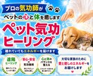 プロの気功師がペット用の気功ヒーリングします 新！ペットの苦痛を減らし少しでも幸せになるためのヒーリング イメージ1