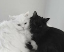 ギャルが恋愛相談乗ります ギャルと一緒に自己肯定感上げていこう〜！ イメージ1