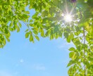 心理カウンセラーが今辛い気持ちをお聞き致します 3日間チャットし放題！回数制限なしであなたのお話お聞きします イメージ1