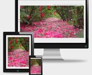 経験豊富なフリーランスのプロが何名かで作成します プロのWebデザイナーがあなたの思いをホームページにします。 イメージ5