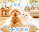 3日間⭐︎ペットちゃんへアニマルヒーリングします 浄化と癒しをお届け⭐︎一言メッセージ付き イメージ1