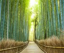 ちょっと愚痴りたい時！1分からでもお話お聞きします 悩み事から雑談まで！お試し1分から！途中で切っても大丈夫！ イメージ7