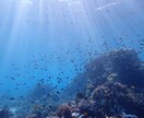 遠隔レイキヒーリング送ります 靈氣＝レイキ　　愛と調和、癒しのエネルギー イメージ3