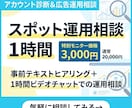 現役プロがWeb広告の単発診断・運用相談のります 歴7年のプロが事業主視点で売上に直結する改善提案 イメージ1