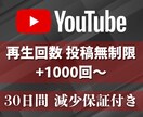 30日間再生回数1000回～増やします 1000回増加★YouTube投稿回数無制限★毎日可★ イメージ1