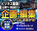 企業の広告・ブランディング動画を制作します 1000人以上のクリエイター集団が貴社の映像を制作します イメージ1