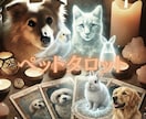 タロットと数秘術でペットの想いを届けます 飼い主さんと心を繋ぐペットタロット！虹の橋の子にも対応 イメージ1