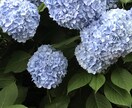 子育ての愚痴や夫婦間の悩みお聞きします ☆離婚の経験をもつ3児の母がどんな小さなことでも傾聴します。 イメージ1