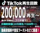 TikTok再生+200,000回増やします 安全・高品質・最短即日で再生数爆増！ イメージ1
