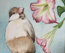 愛鳥さんを水彩絵の具で【ミニ色紙】に描きます 鳥さんの誕生日・記念日にちなんだお花を添えて水彩画を描きます イメージ10