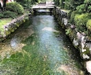 あなたのお悩み、前向きにリーディングします 元スイミングスクールコーチがあなたに寄り添い前向き鑑定♪ イメージ4
