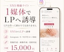 SNSからLPへ誘導するライト運用代行します SNS1媒体 週1投稿でLPへ誘導 月額15,000円 イメージ1