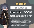 YouTube・SNS動画を丸投げ編集いたします 【今だけ修正無制限】視聴維持率を意識した動画を制作してます！ イメージ1