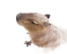 かわいいペットや動物のリアルイラストを描きます プレゼントやお部屋のインテリアにいかがでしょうか？ イメージ2