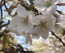 心がホッとひと休み。 お手伝い致します どんなことも心からご一緒します、且つ多角的に解決策も共に イメージ1