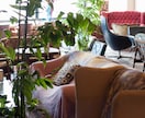企業や店舗のIT化、DX化コンサルします WEBの戦略、新しい売り方、具体的な作成、ツールを提案します イメージ4