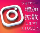 1,000人+インスタのフォロワー拡散・増加します ◆格安で海外からのフォロワーが千人以上付きます！★保証付★ イメージ1