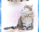 この世に1つだけ愛猫・愛犬のスマホ壁紙お作りします 愛猫・愛犬を形にした唯一無二の壁紙です。 イメージ2