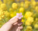1時間チャット♪雑談～深い話まで幅広くお伺いします ♪あなたが望む距離感で★セクマイさんも通話が苦手な方もぜひ♪ イメージ1