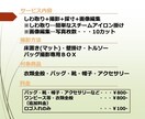 フリマ用(メルカリ等)の写真撮影代行致します バッグ・衣類等/床置き・トルソー等/１日5品/スピード対応 イメージ8
