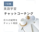 7日間の英語学習チャットコーチをします 英検一級所持者がわからない不安に寄り添う壁打ち相手になります イメージ1
