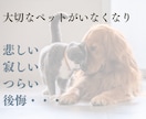 ペットロス専門☆愛するペットのお話、すべて聴きます ペットロス経験者・現役カウンセラーの私が、すべて受け入れます イメージ2