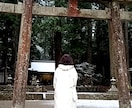 スピリットの声を聴き、スッキリお悩み解決致します 恋愛、人間関係、お仕事、ペットの気持ちなど、何でもOKです。 イメージ3