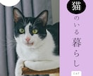 アニマルコミニケーションでペットちゃんの声届けます ペットの声と遠隔でペットちゃんに5分間ヒーリング流します！！ イメージ3