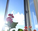 あらゆるお気持ちに、寄り添います ヒーリングカウンセラー☆占い可能。お気軽にお電話ください。 イメージ1