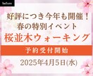 素人っぽいデザイン脱出！Canva添削します 現役アートディレクターがヒント＆サンプル作ります！ イメージ2
