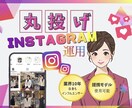 丸投げOK！プロのマーケターが戦略的に運用します Instagramを丁寧に育てます！コンサルも込み イメージ1
