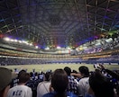 プロ野球観戦の一択プラン作成します そのまま動けばOKな観戦プラン イメージ1