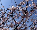 初回10分無料！秘密厳守。どんな話でも受け止ます 話すだけで心が軽くなるように！ イメージ1