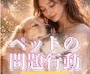 大切なペットの問題行動の理由、霊視します 話せないあの子の気持ちを知りたいあなたへ イメージ1