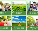 目的やターゲットに合わせてデザインをご提案します 世界観に合わせて変幻自在のデザインを制作します イメージ1