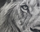 写真を鉛筆画で描きます 鉛筆画特有の優しい雰囲気の絵、いかがでしょうか。 イメージ5