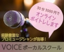 30分3000円でオンラインボイトレします 経験豊富なプロミュージシャン指導！短時間のお試しコース イメージ1