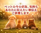 ペットロスの方へ、ペットの気持ちを伝えご供養します 亡くなったペットから伝えたい言葉をお伝えします イメージ1