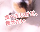 食べたいのに食べれない、摂食障害の相談のります 食べたいものを食べて楽しく体型キープ イメージ1