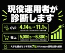 Amazonの売上不振、対面で原因を診断します 現役運用者が画面共有で診断、改善策までご提案 イメージ9