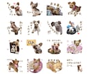 あなたの写真からラインスタンプを作成します ご家族やペットの写真をLINEスタンプにしませんか？ イメージ5