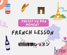 初回体験レッスン　フランス語会話レッスンします レベル、目的に合わせてネイティブ講師がフランスを教えます イメージ1
