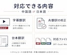 中国語⇄日本語の動画字幕を自然に翻訳しますます 中国ドラマ全21話の字幕校正経験｜SRT対応 イメージ2