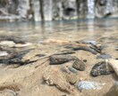 写真を販売します 写真の素材を探していませんか？？ イメージ2