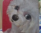 四角形コルクの上に可愛いペットの絵を描きます 。珍しい素材に描いた珍しい雰囲気なペットの似顔絵(’-’*) イメージ6