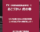 勝ち組は読まないで！FX★おこづかい増やし充実ます 勝ってる人はやっている！大事な資金を一瞬で溶かさない虎の巻 イメージ1