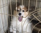 1分からでもOK！貴方からのお電話待ってます 大学生の僕がなんでもお話し聞きます。 イメージ4